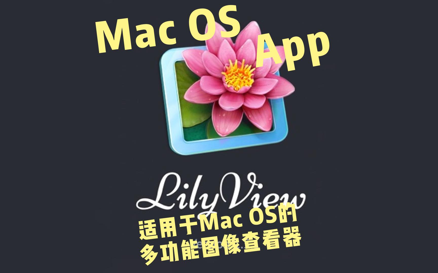 【编号：2027】LilyView for Mac 一款适用于Mac OS的多功能图像查看器-奥力呦给